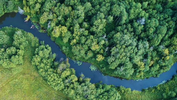 Photo of a River cutting through a forest