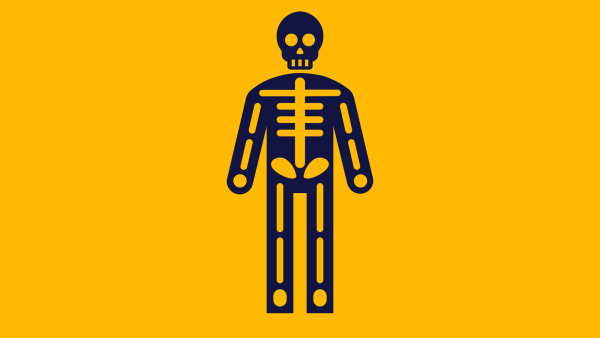 Illustration of human body and skeleton